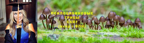 дурь Абаза