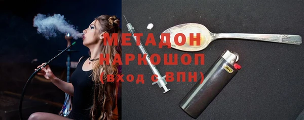 сатива Няндома