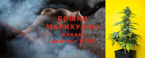 PSILOCYBIN Абдулино