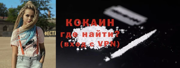 сатива Няндома