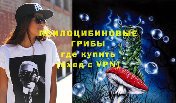 дживик Алзамай