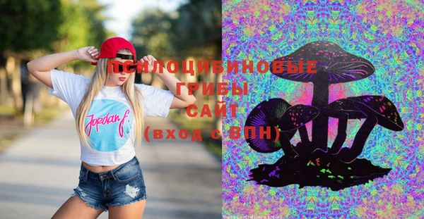 дурь Абаза