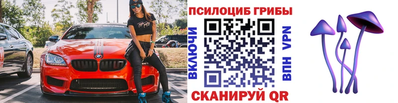 Галлюциногенные грибы Cubensis  MEGA зеркало  Татарск 