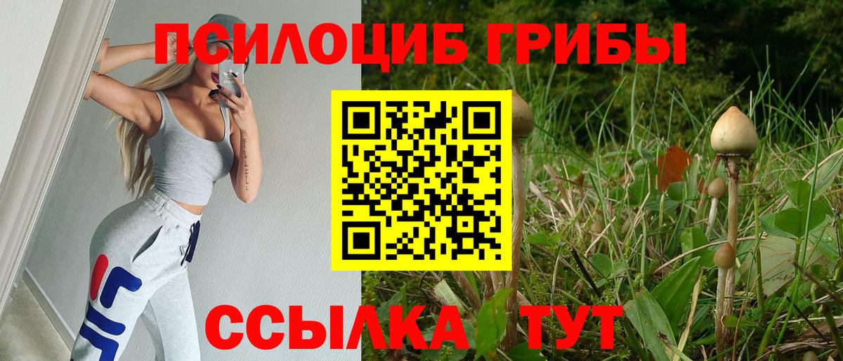 Татарск  Галлюциногенные грибы мицелий  Вход с VPN 